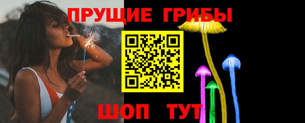 Галлюциногенные грибы прущие грибы Камень-на-Оби