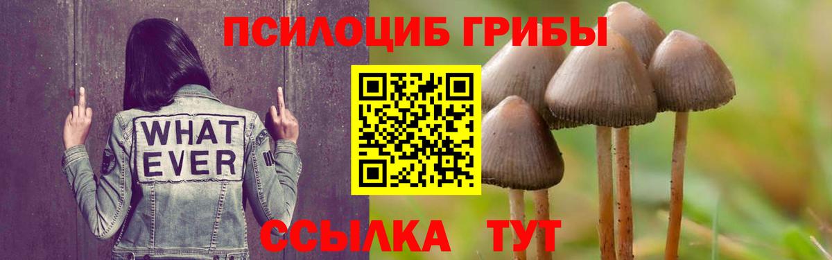 Псилоцибиновые грибы прущие грибы  Галлюциногенные грибы ЛСД  Вход с VPN  Камень-на-Оби 
